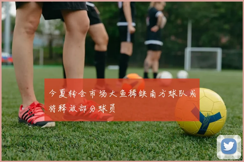 今夏转会市场大鱼稀缺南方球队或将释放部分球员